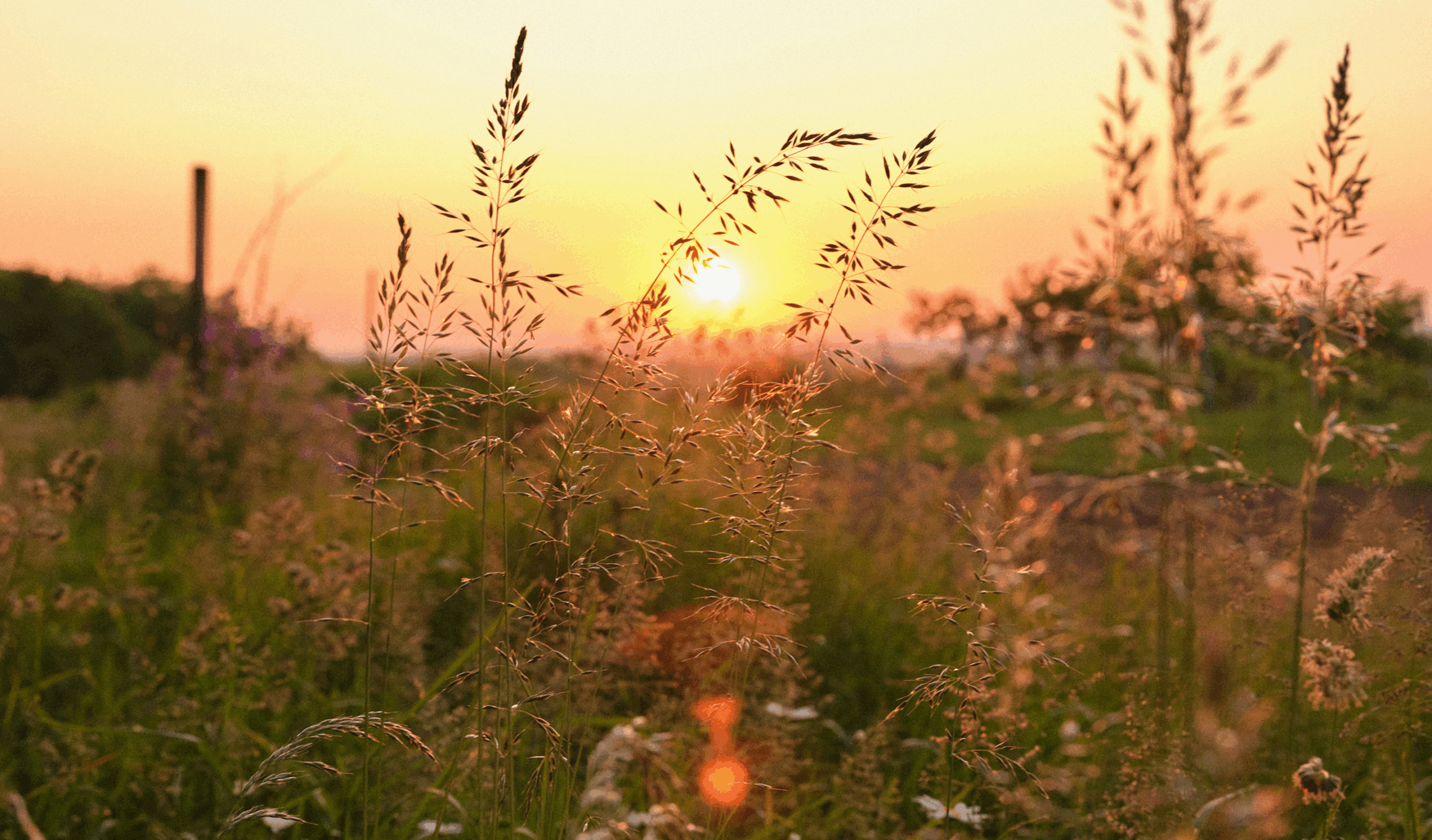 The Digital Detox I Never Meant to Take